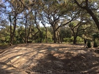 New foundation that required land clearing